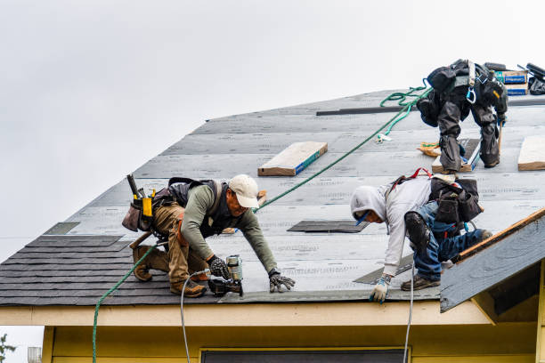 Professional Storm Damage Roof Repair technician working in Lindale, GA